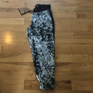 Express Joggers